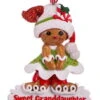 Kurt Adler Gingerbread Special Granddaughter Ornament