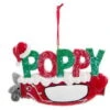 Kurt Adler Poppy Golf Bag Ornament