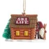 Kurt Adler Gnome Lodge Ski Ornament
