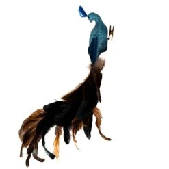 Kurt Adler Decorative Feather Peacock With Clip - 18 Inch -Festive Ornaments Deals d82zpxbnmtzul99klske