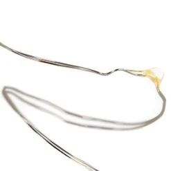 Kurt Adler 10 Foot LED Warm White Fairie Lights - 25 Lites -Festive Ornaments Deals dizrikzci17ws5tpb6up