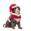 Kurt Adler Bernese Mountain Dog With Plaid Coat And Santa Hat Ornament