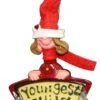Kurt Adler 3.5 Inch Mom's Favorite Ornament - First Boy
