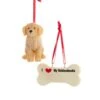 Kurt Adler I Love My Goldendoodle With Dog Bone Ornaments