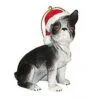 Kurt Adler Dog In A Santa Hat Ornament - Boston Terrier