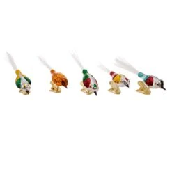 Kurt Adler Colorful Glass Bird Clip-On Ornaments - 5 Piece Set