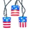 Kurt Adler 10-Light American Flag Tube Light Set