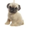 Kurt Adler Furry Dog Ornament - Pug
