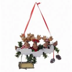 Kurt Adler Moose Ornament For Personalization - Family Of 3