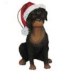 Kurt Adler Dog In A Santa Hat Ornament - Rottweiler